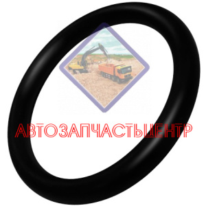 Прокладка кольцевая 8972331270